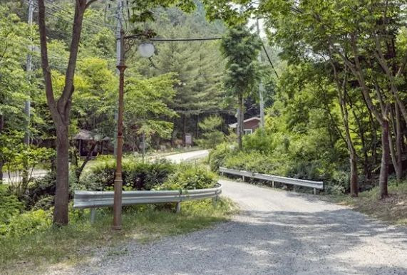 청송자연휴양림