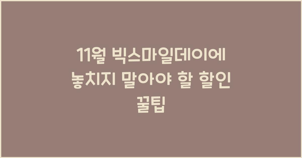 11월 빅스마일데이