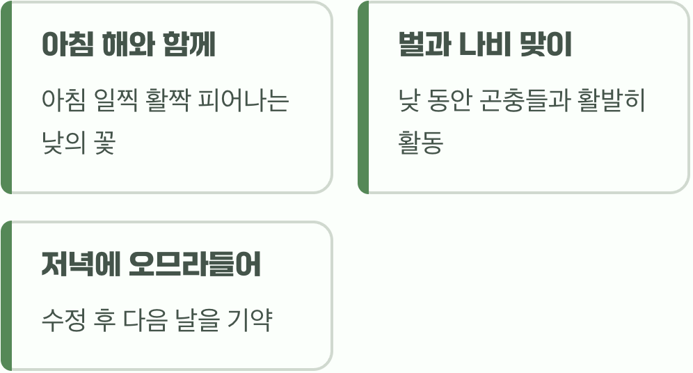 낮에 빛나는 황금빛 나팔