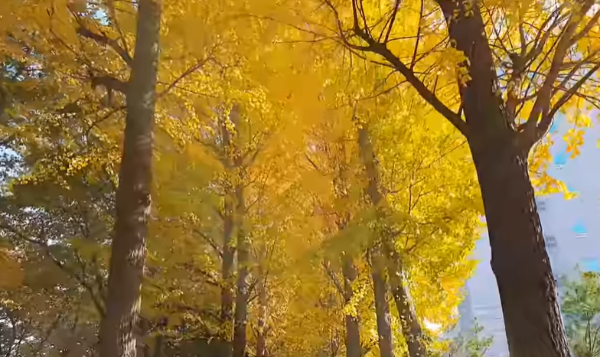 나만알고싶은여행지