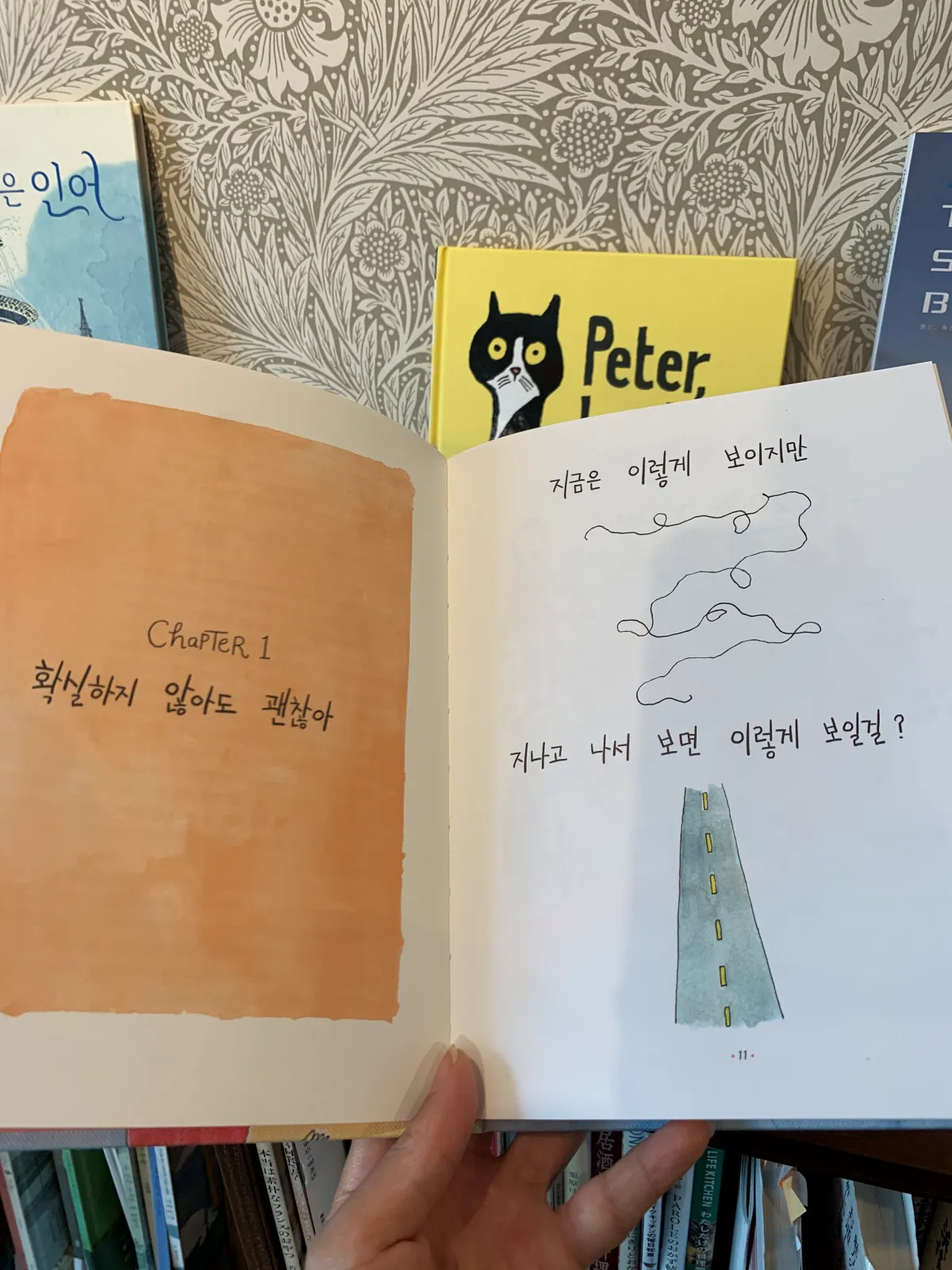 벌써다온건아니겠죠-책-첫페이지