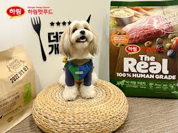 반려동물 건강 관리 팁