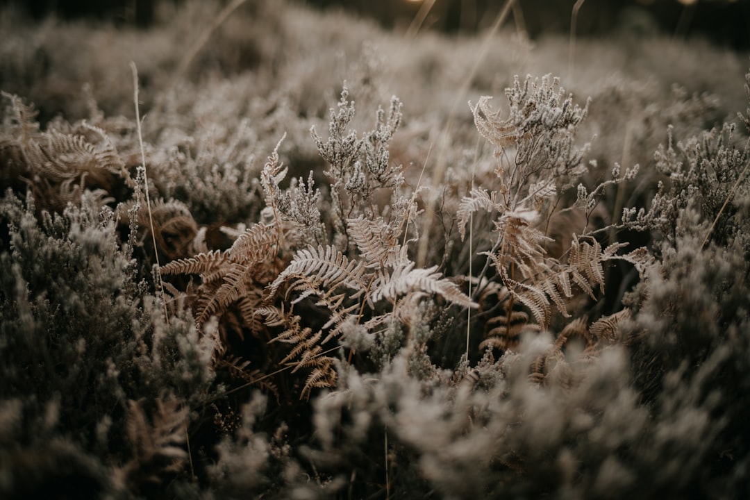 Cold.