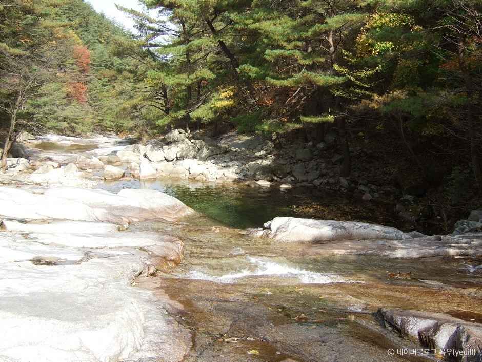 영천 가볼만한곳 베스트10