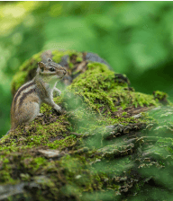 화담숲 예약하기
