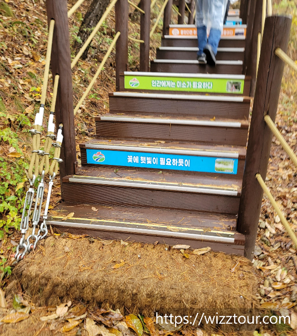 거창 항노화 힐링랜드 계단 올라가는 모습