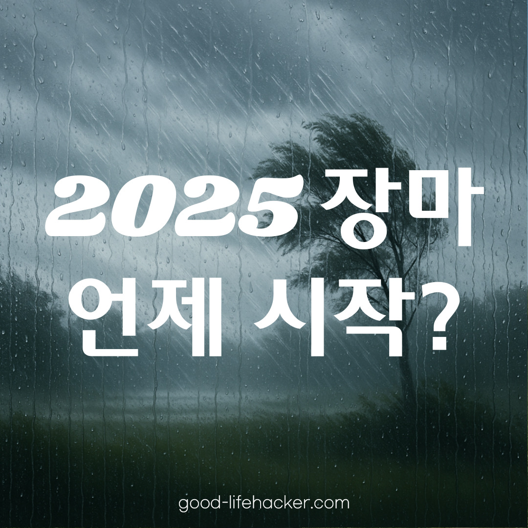 2025년 장마철