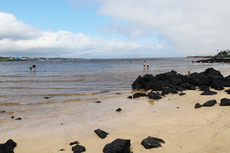 제주도 가볼만한곳 10곳
