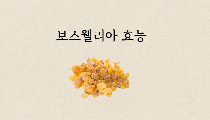 보스웰리아효능 썸네일