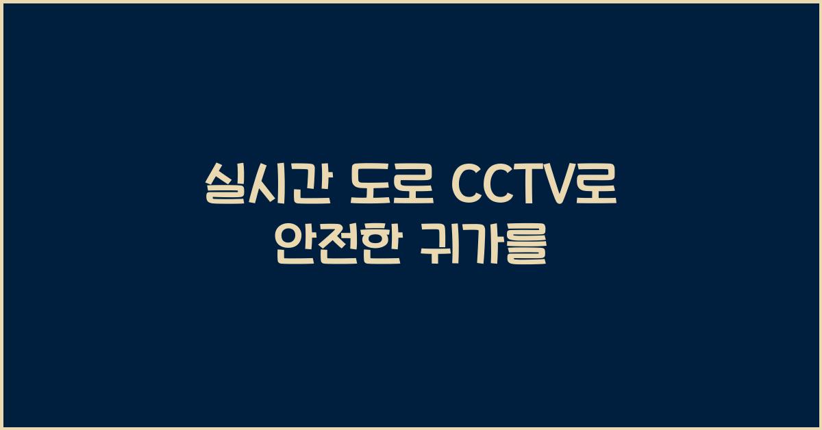 실시간 도로 cctv