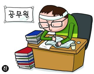 조성주 공무원 경력