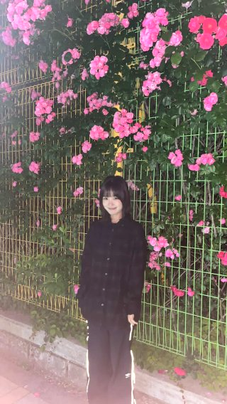 한로로 가수 프로필 나이 노래 책 자몽살구클럽