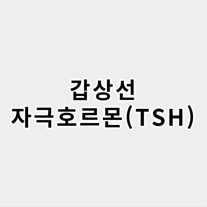 갑상선자극호르몬