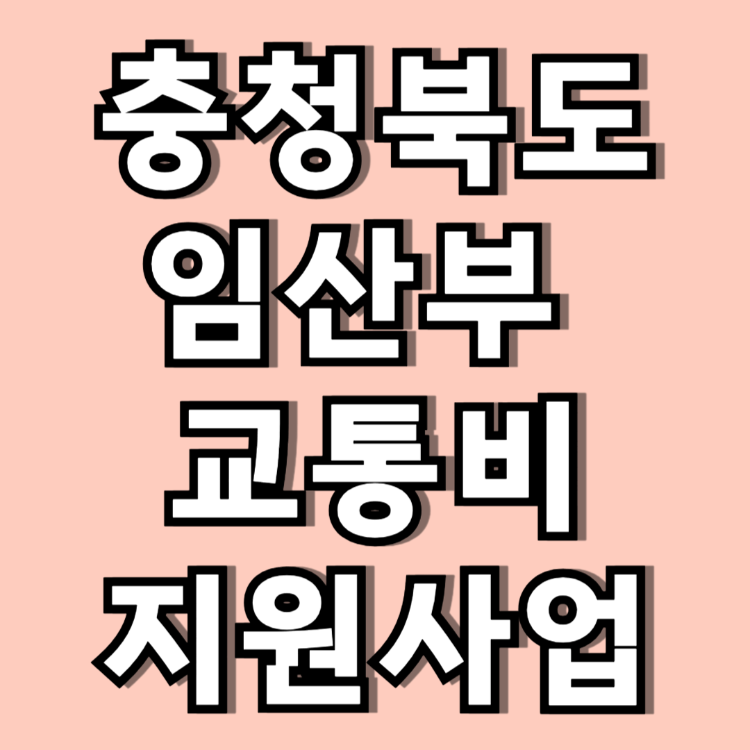 충청북도 임산부 교통비 관련 사진