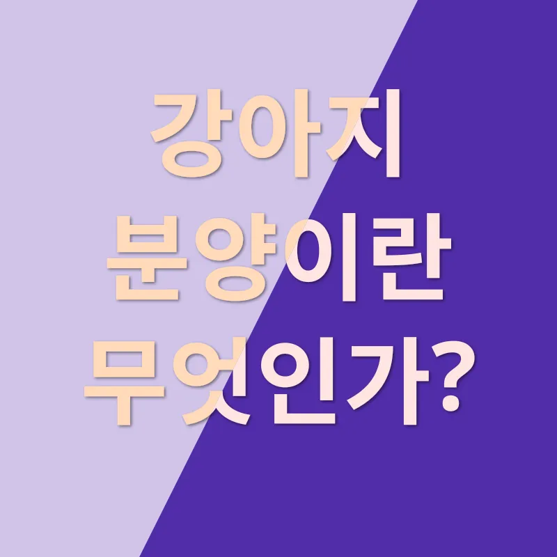 파주 강아지 분양_1
