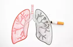 통풍-해로운-음식