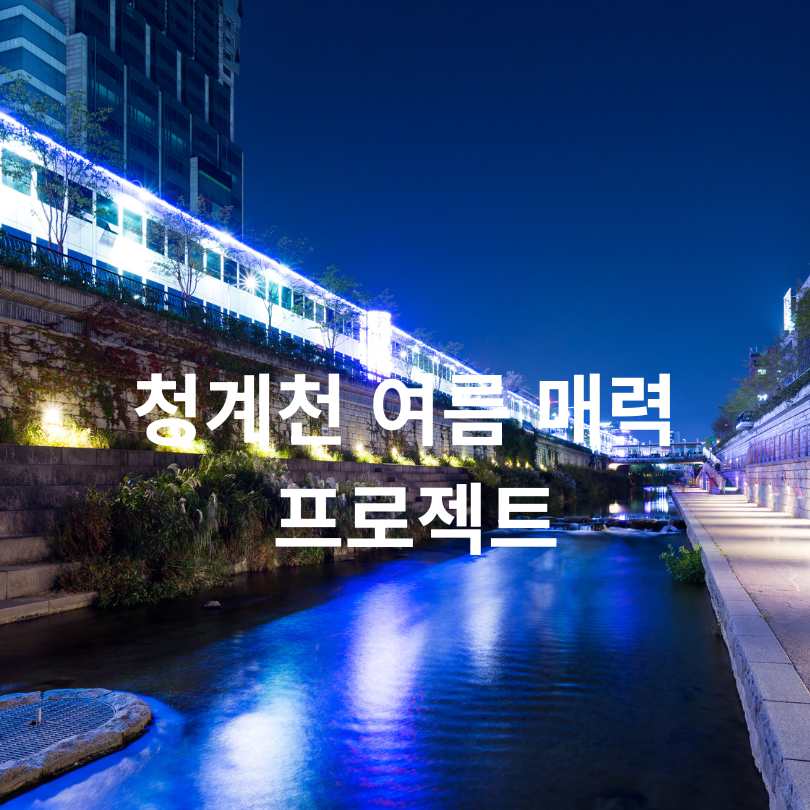 서울 청계천 여름축제