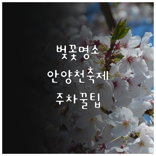 양천구 벚꽃 나들이 정보 및 안양천 ..