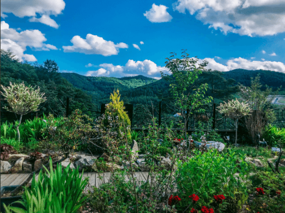 평창보타닉가든