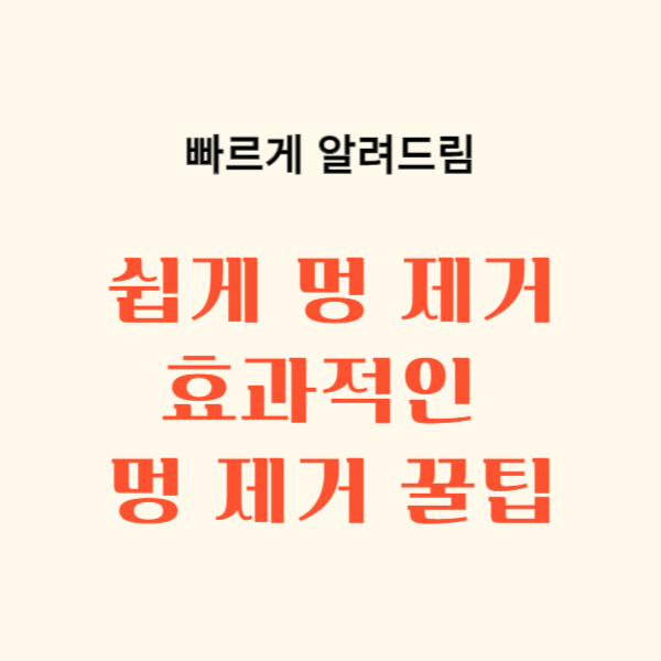 멍 빨리 없애는 방법 10가지: 효과적인 멍 제거 꿀팁 총정리