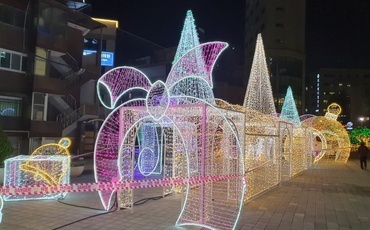 태안 네이처월드 빛축제 꽃정원