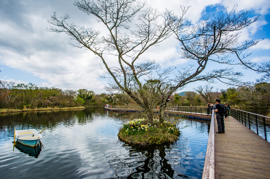 제주도 에코랜드 테마파크 에코 브릿지역 3