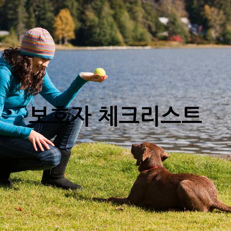 강아지 더위 증상 및 해결법