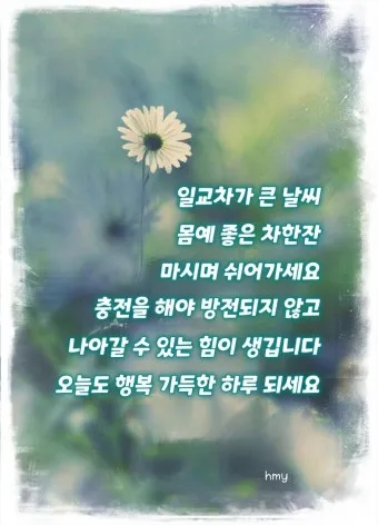 아침 인사말 이미지 모음 밝고 따뜻한 하루 인사 문구 정리_11