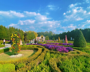 벽초지 수목원 가을꽃 국화축제_2