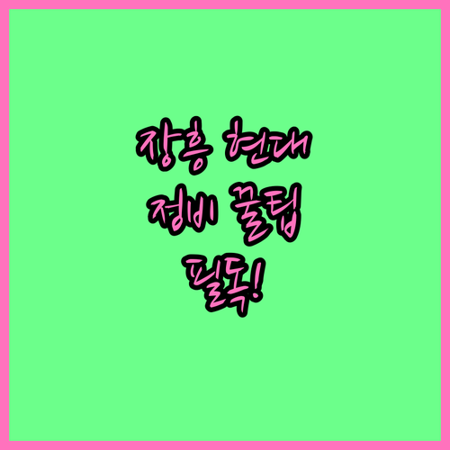 장흥 현대자동차 서비스센터 위치별 정..