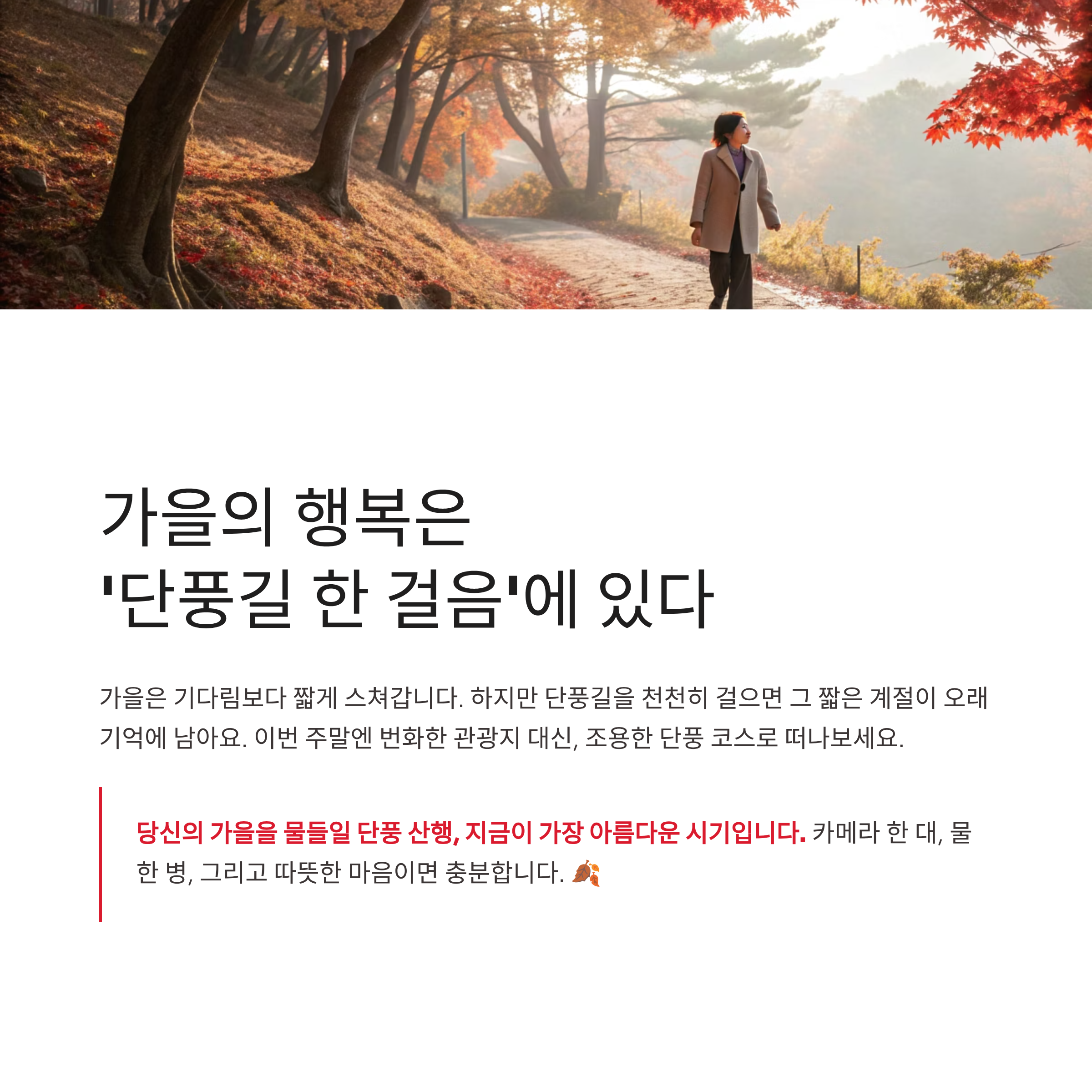 2025 가을 단풍 등산코스 추천 ❘ 혼잡 피해서 걷는 전국 힐링 명소 7선