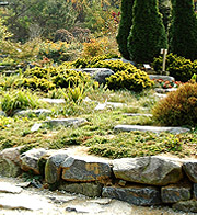 전국 수목원 BEST 5 – 자연의 품으로 떠나는 진짜 힐링 여행ㅍ