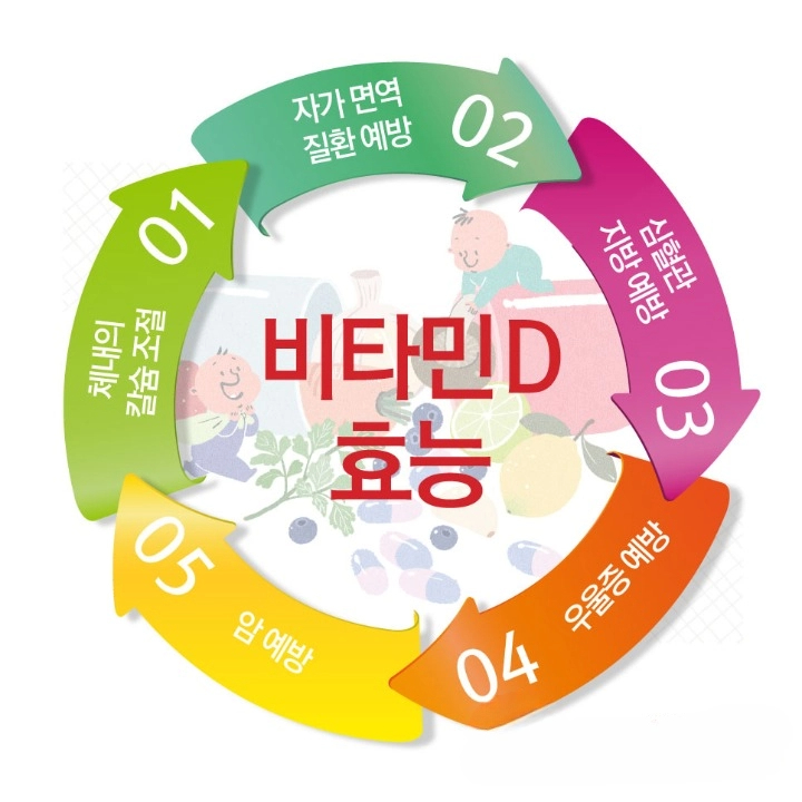 50대 챙겨 먹어야 하는 필수 영양제 보충제 영양성분 5가지