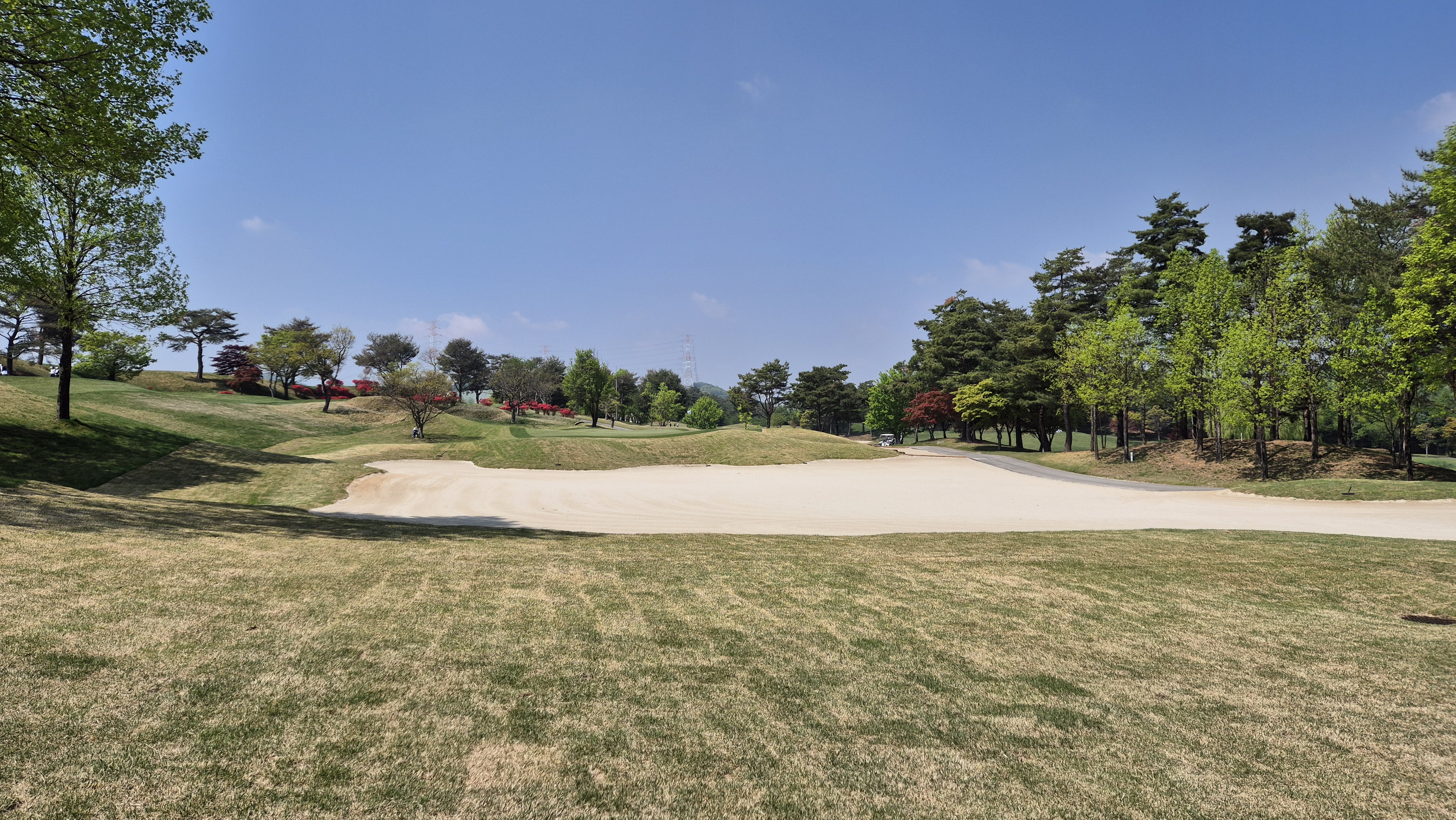 마에스트로cc 코스