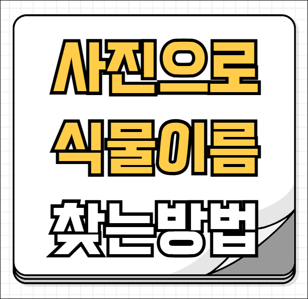 사진으로 식물이름찾기