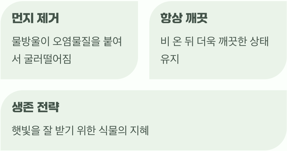 스스로 깨끗해지는 마법, 자기 세정 효과