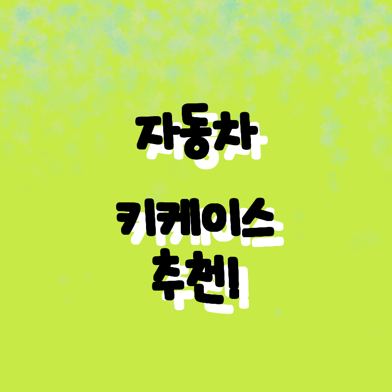 최고의 자동차 키 케이스 추천! 가성