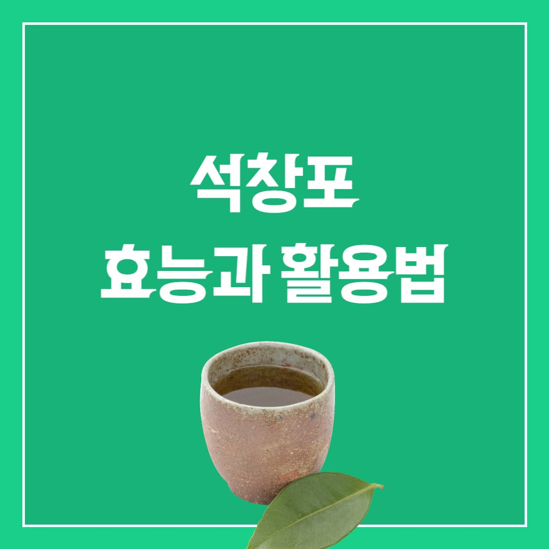 석창포 효능과 활용법