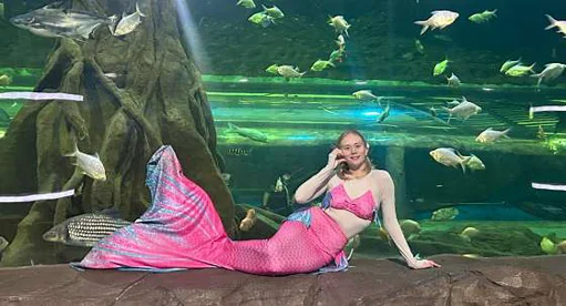 대전아쿠아리움