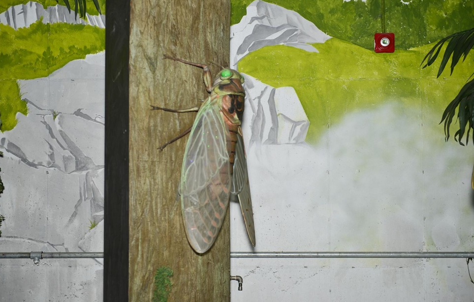 곤충 테마 전시관