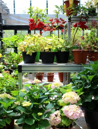 완주 가볼만한곳 베스트 10