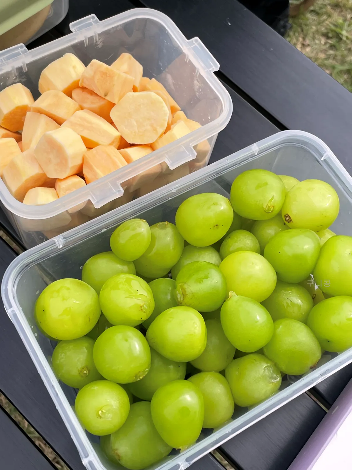 서울-근교-나들이-가볼만한곳-추천-억새-코스모스-시흥갯골생태공원-무료-주차-꿀팁