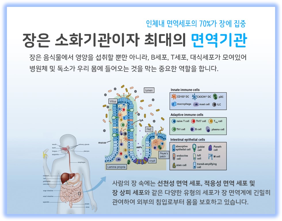 프로바이오틱스