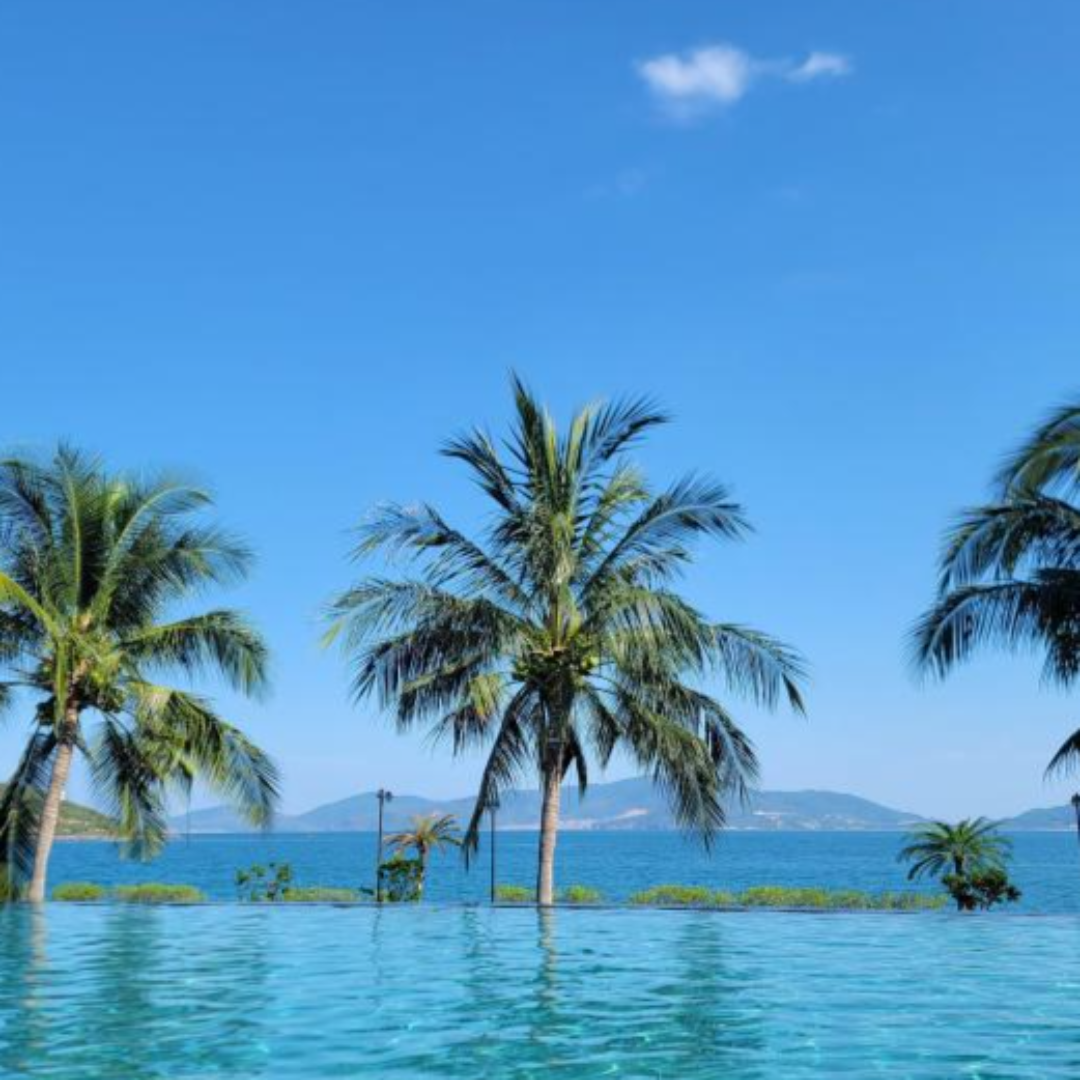 베트남 나트랑 여행비용 관련 사진