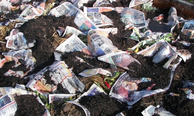 가정에서 쉽게 따라할 수 있는 원예 팁