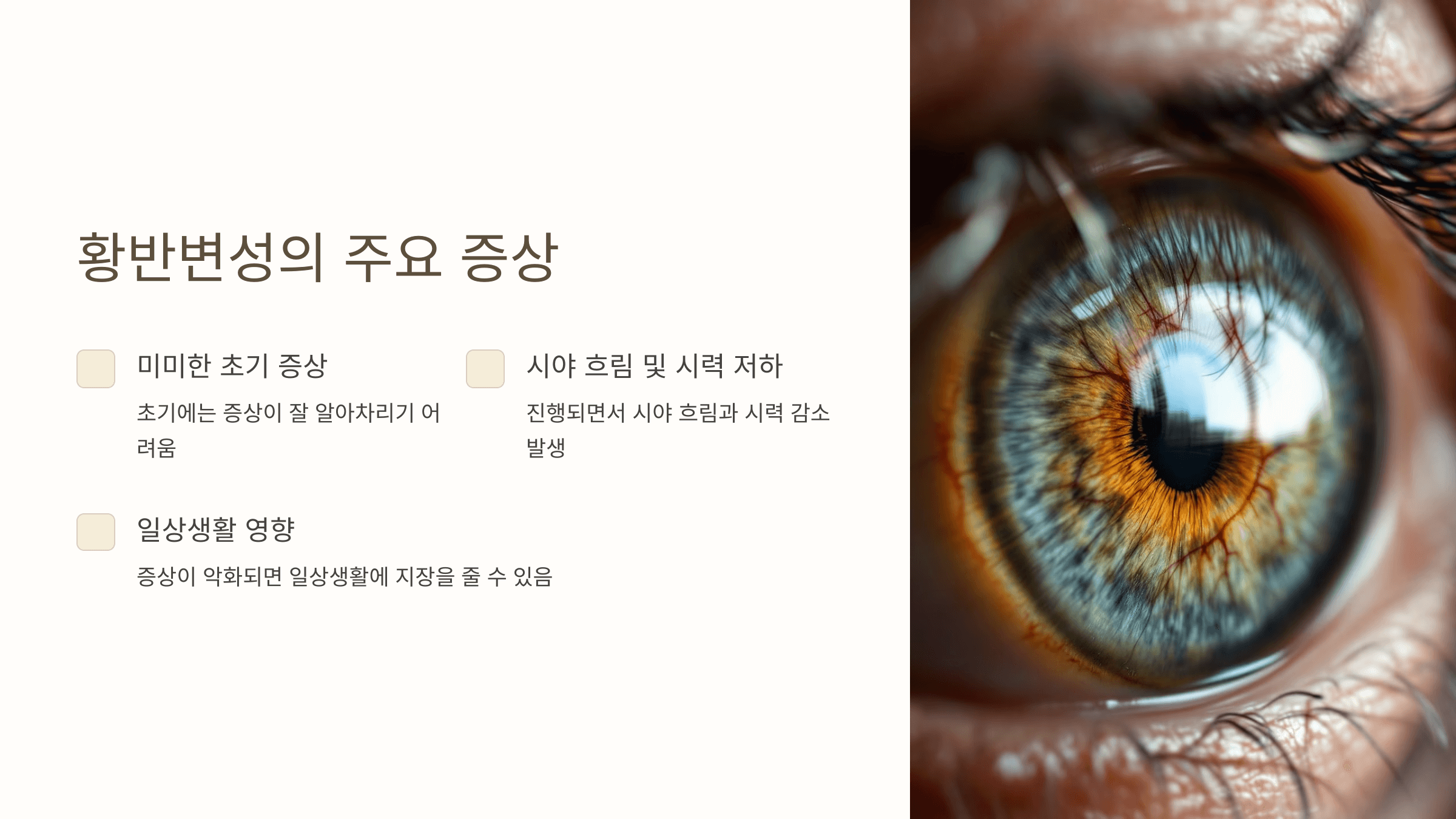 황반변성과 관련된 사진입니다.