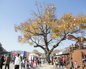 청송사과축제_1