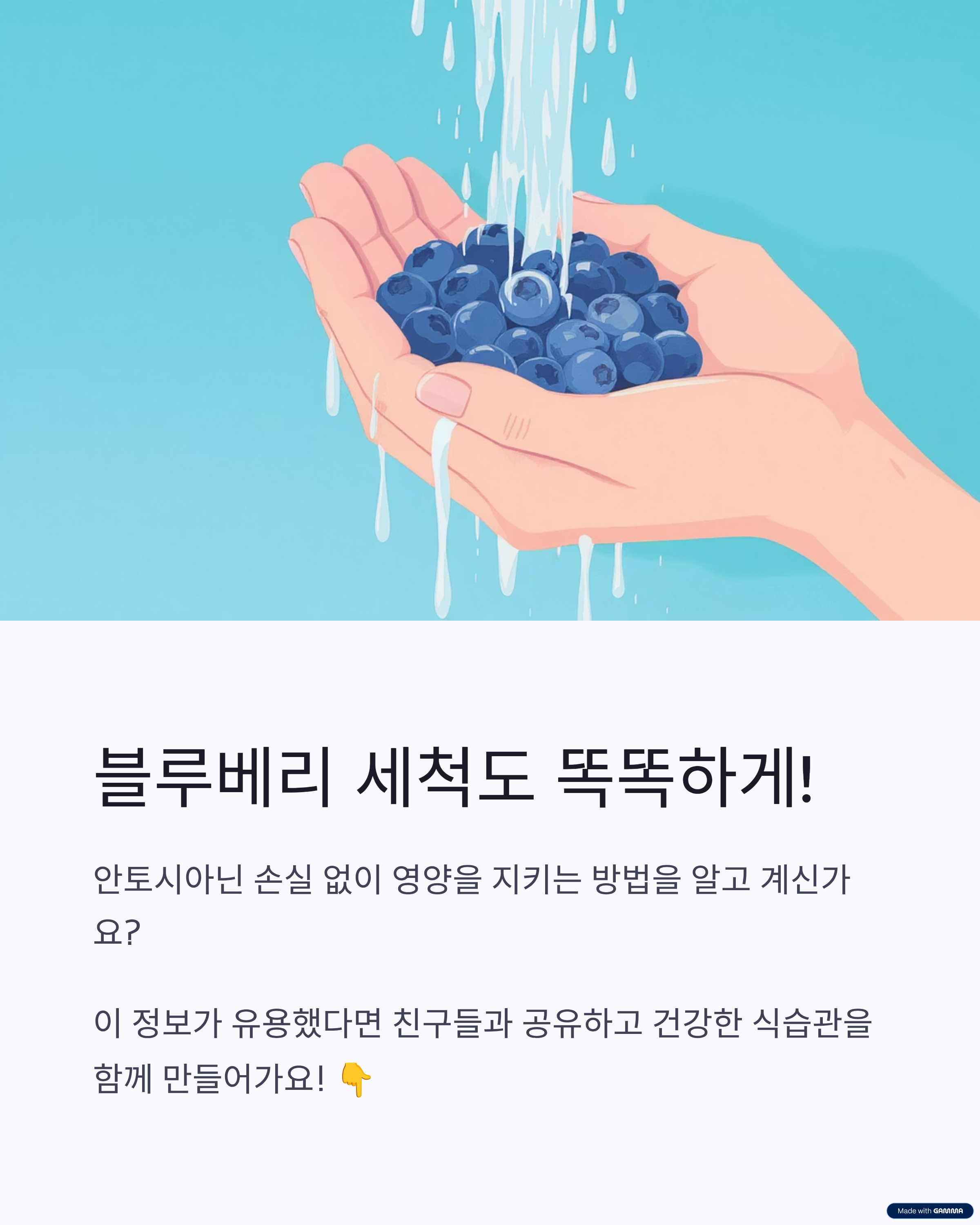 블루베리