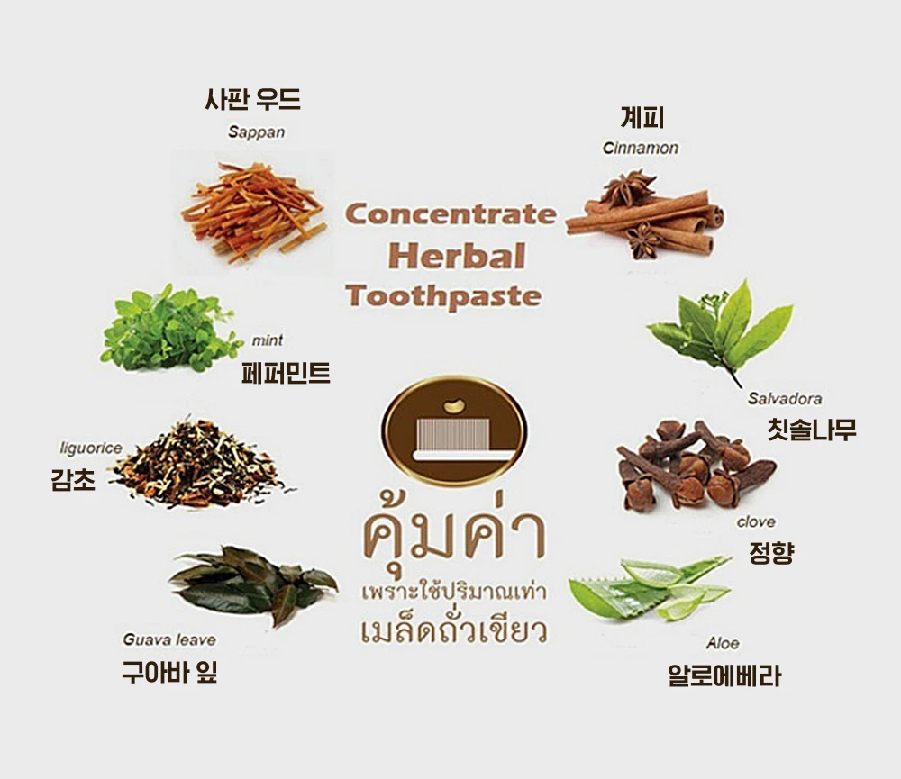 텝타이-콩알치약-천연허브-성분소개