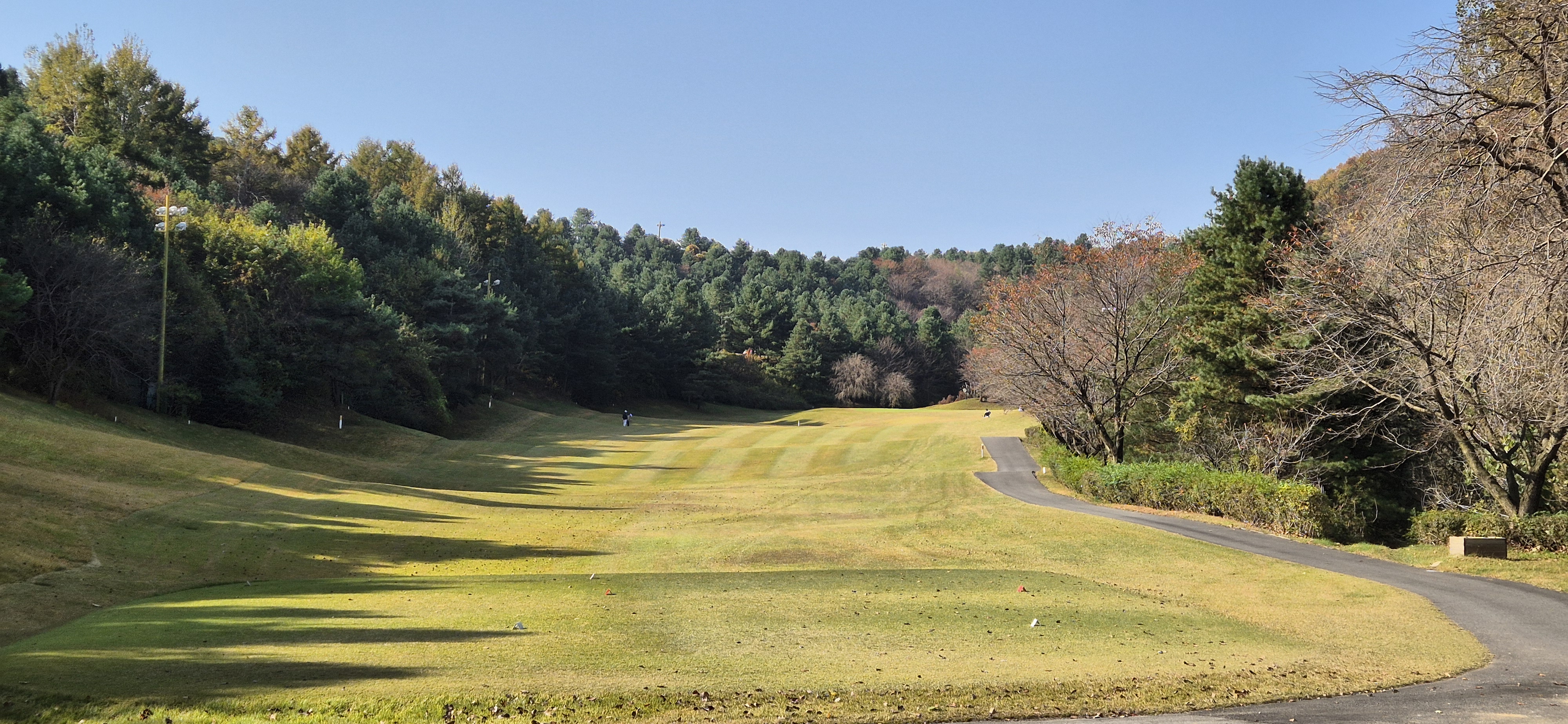 시그너스cc 실크코스 사진 및 공략 정보